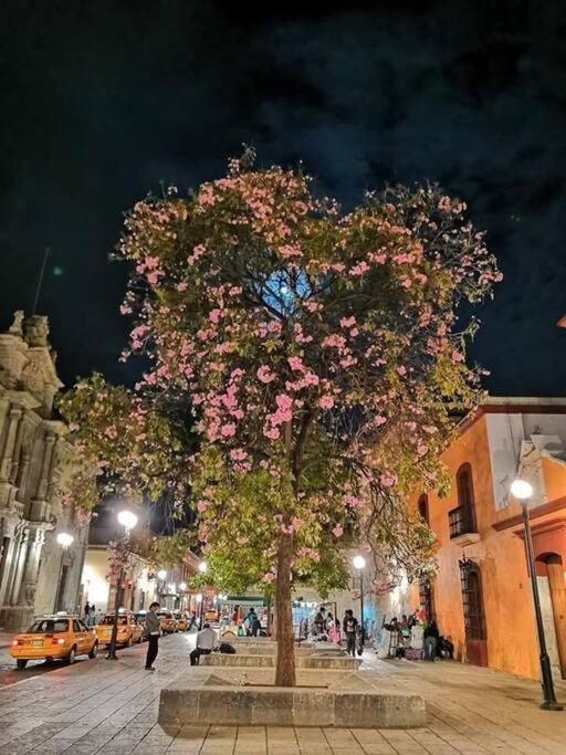 M1010 - The Best Place To Enjoy Oaxaca Екстер'єр фото