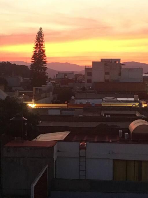 M1010 - The Best Place To Enjoy Oaxaca Екстер'єр фото